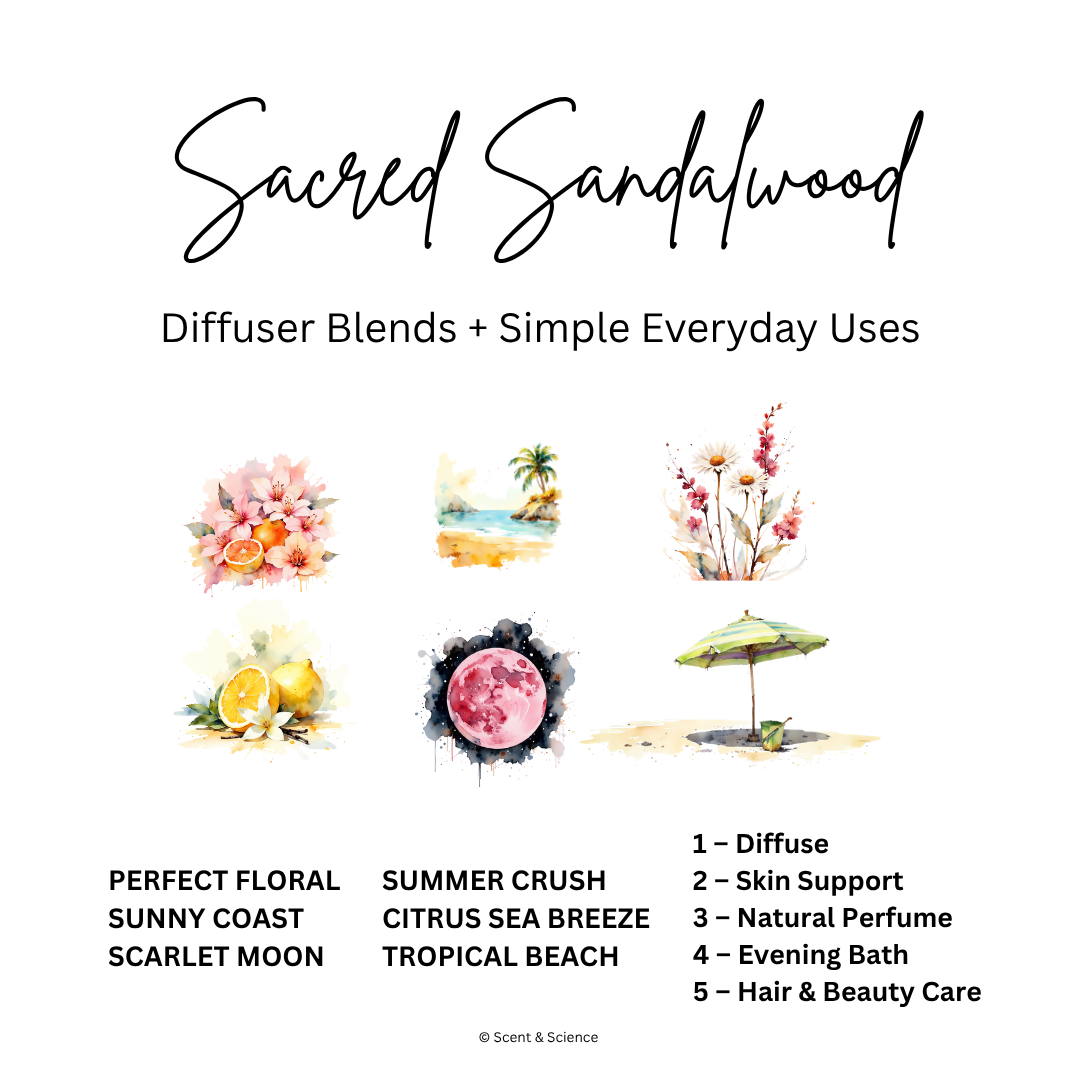 Essential Scent Diffuser Postcard Featuring Sacred Sandalwood