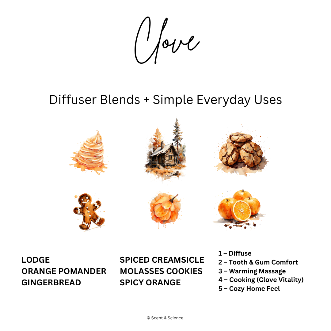 Essential Scent Diffuser Postcard Featuring Clove