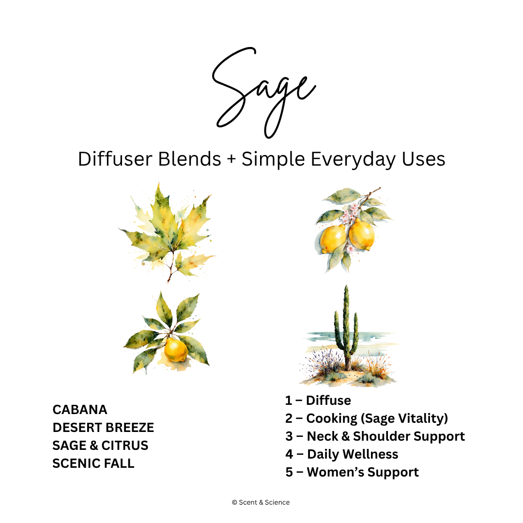 Essential Scent Diffuser Postcard Featuring Sage