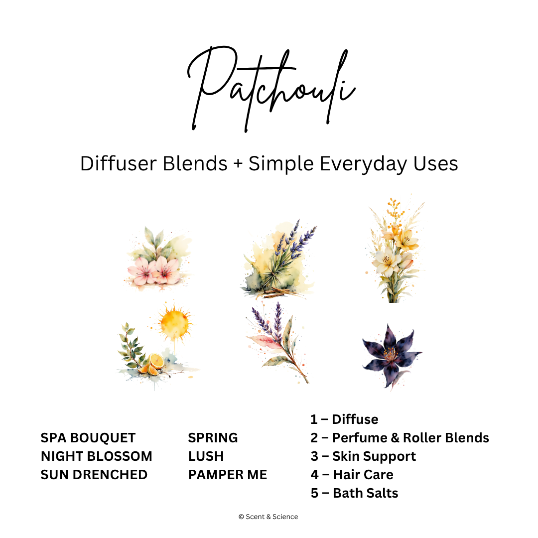 Essential Scent Diffuser Postcard Featuring Patchouli