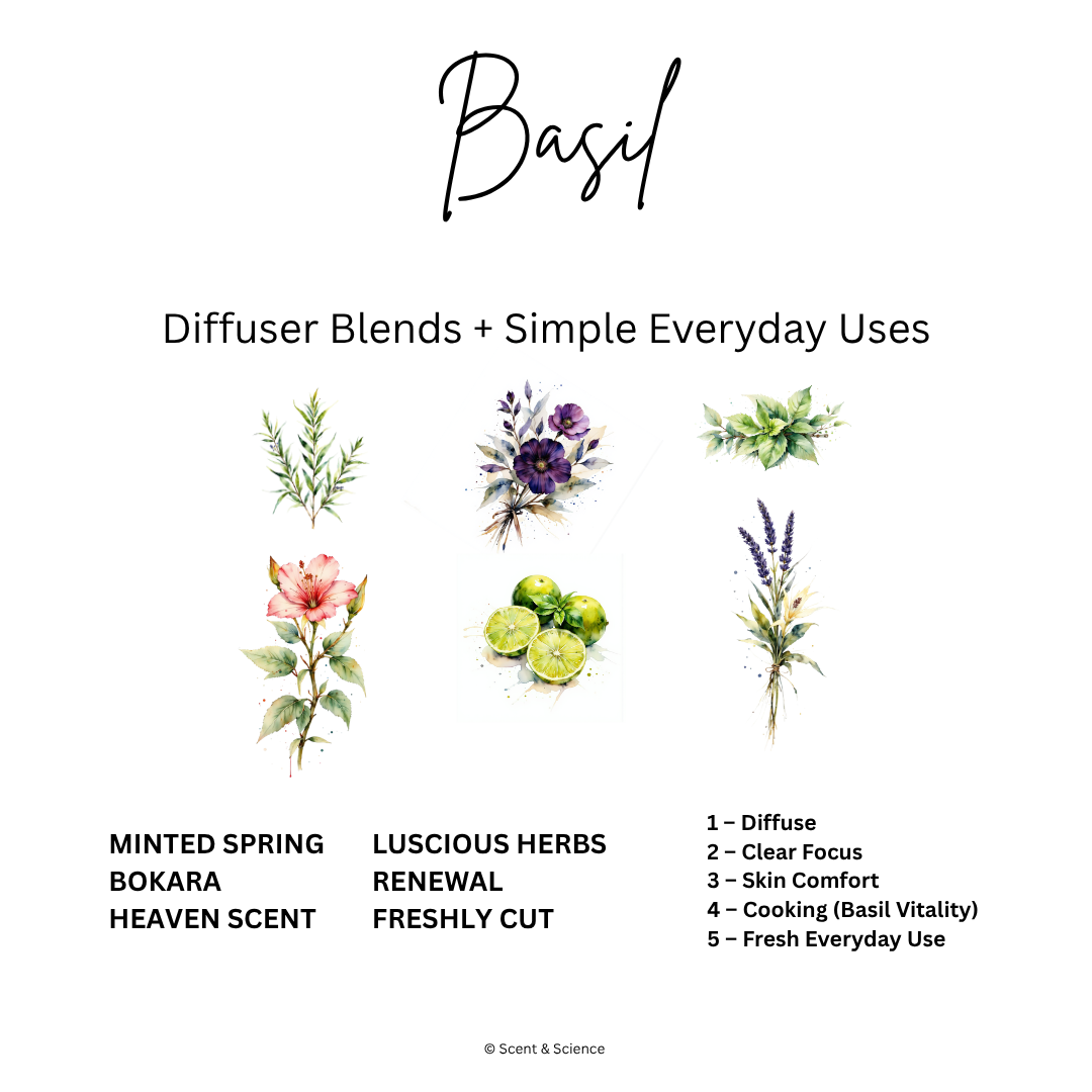 Essential Scent Diffuser Postcard Featuring Basil