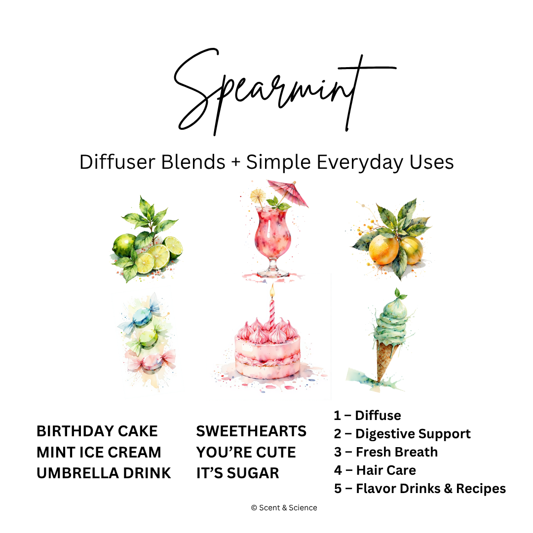 Essential Scent Diffuser Postcard Featuring Spearmint