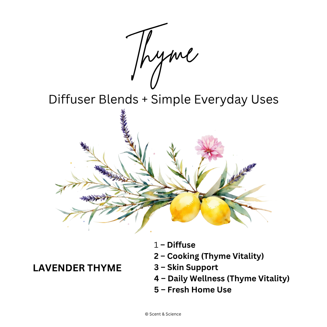 Essential Scent Diffuser Postcard Featuring Thyme
