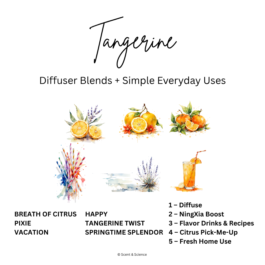 Essential Scent Diffuser Postcard Featuring Tangerine