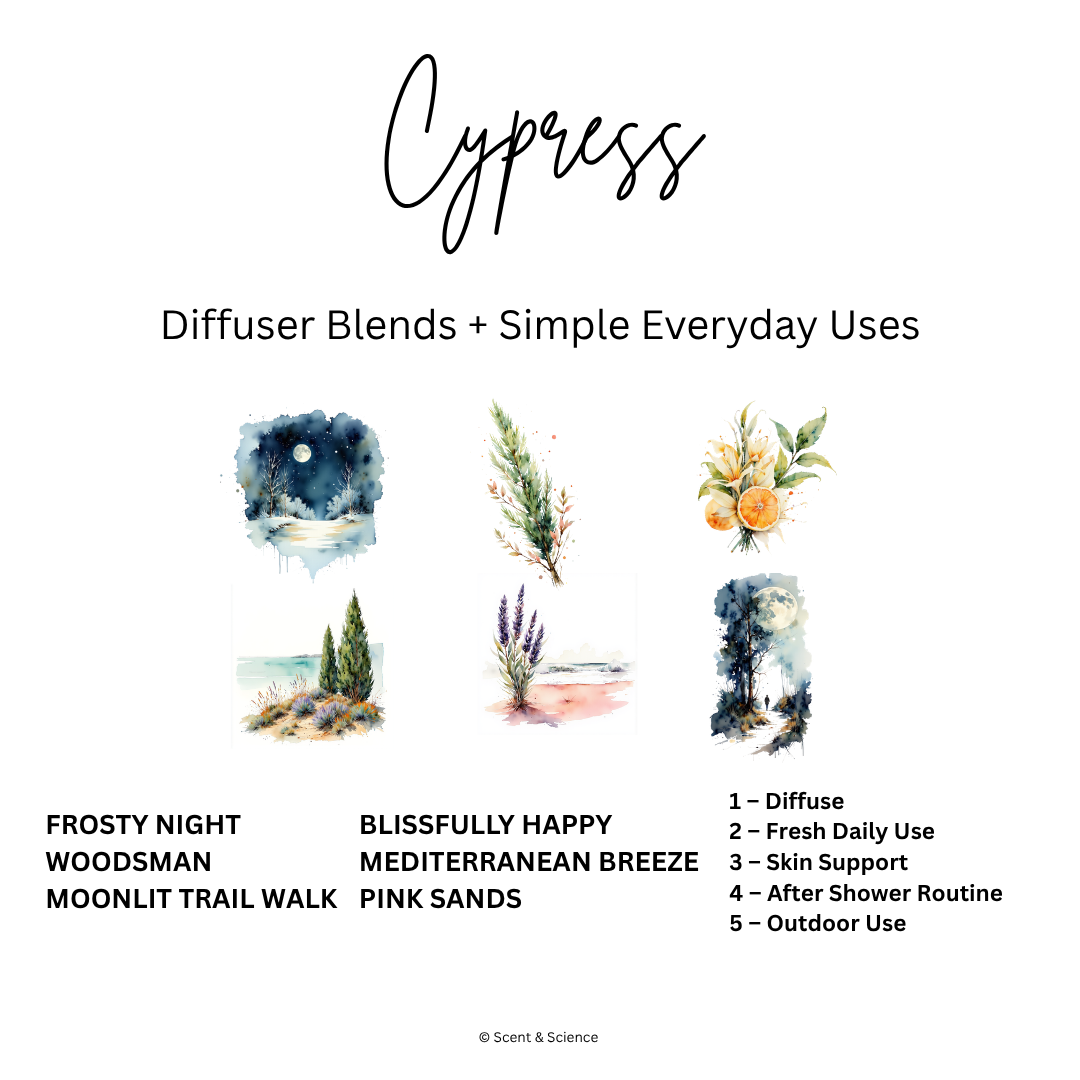 Essential Scent Diffuser Postcard Featuring Cypress