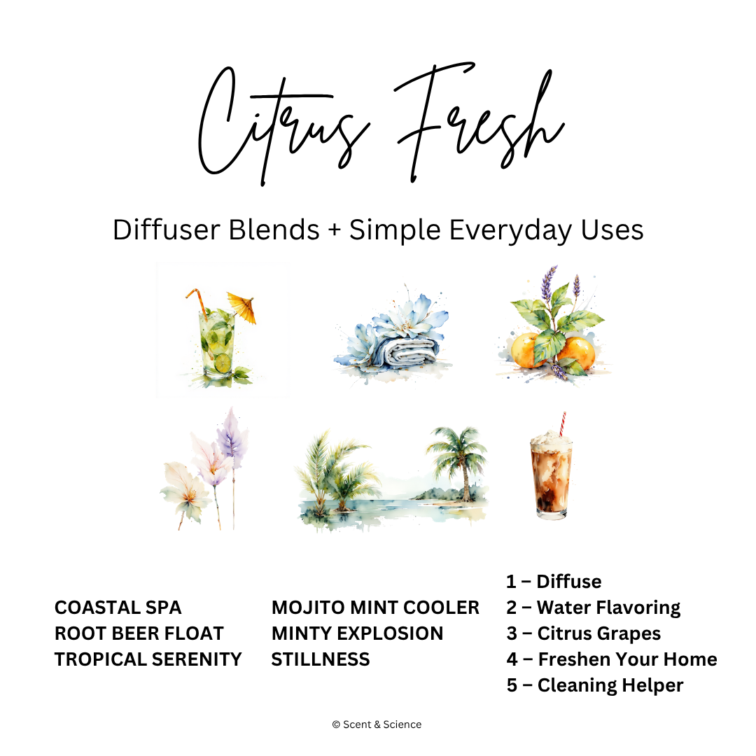 Essential Scent Diffuser Postcard Featuring Citrus Fresh