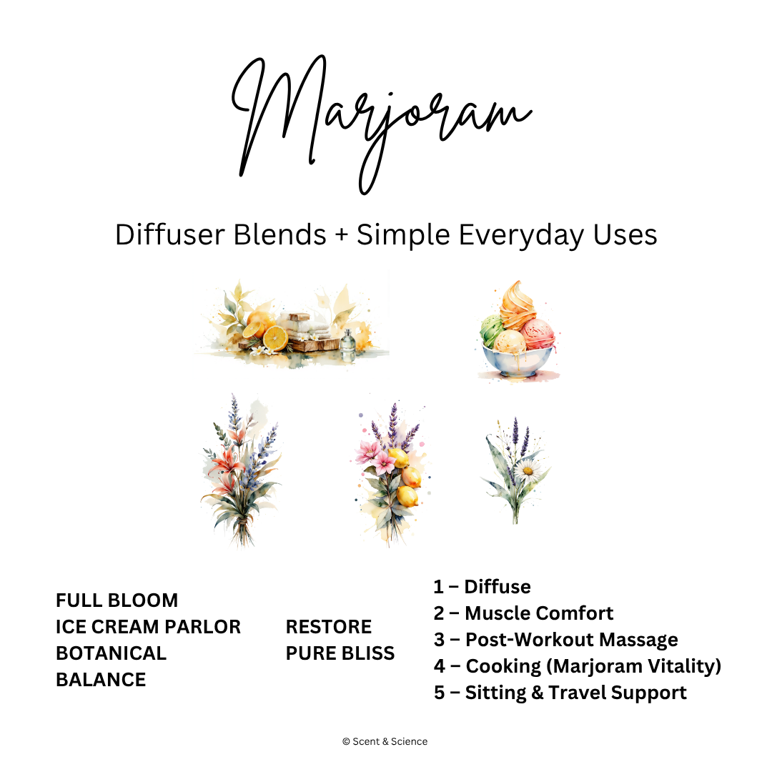 Diffuser Recipes marjoram.png