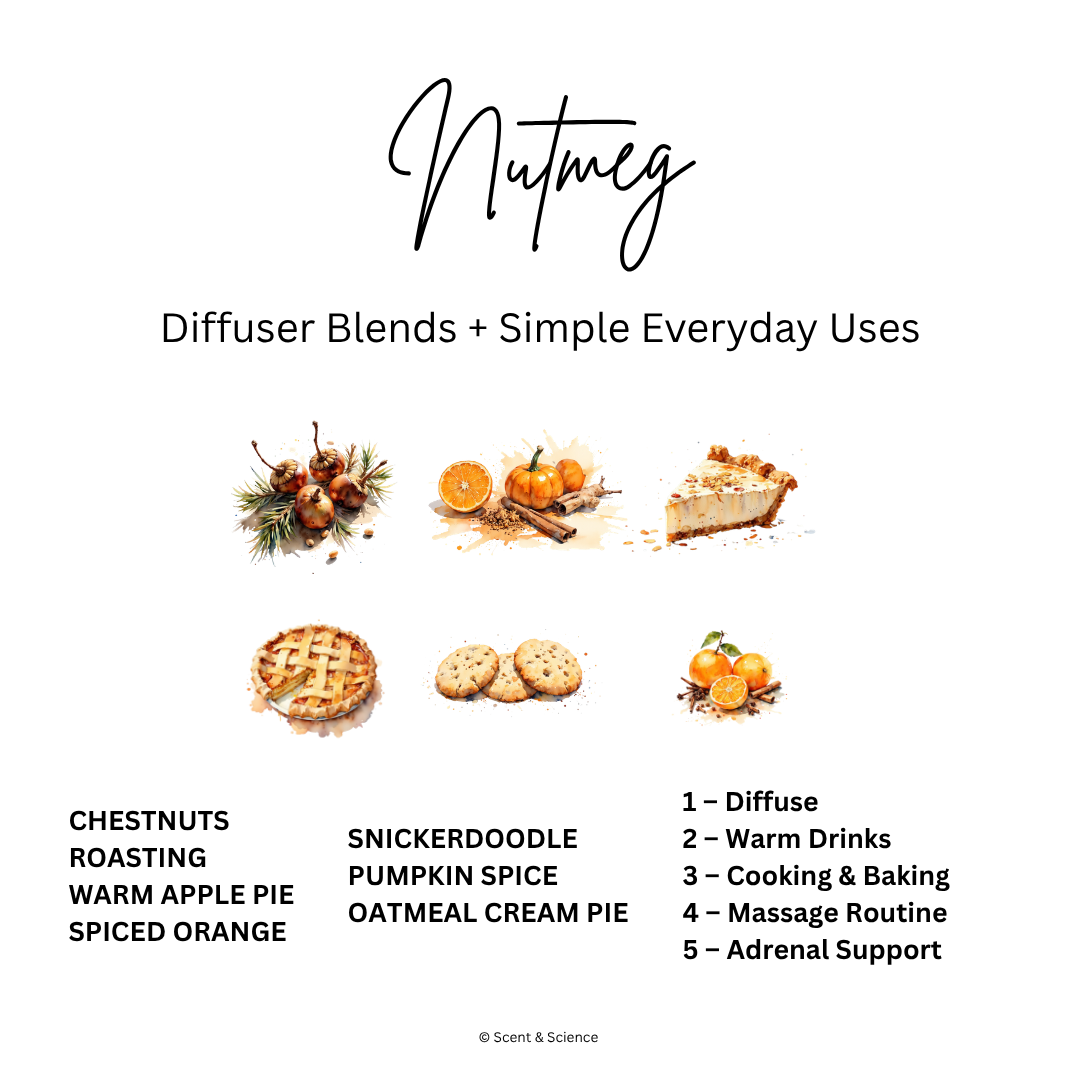 Diffuser Recipes nutmeg.png