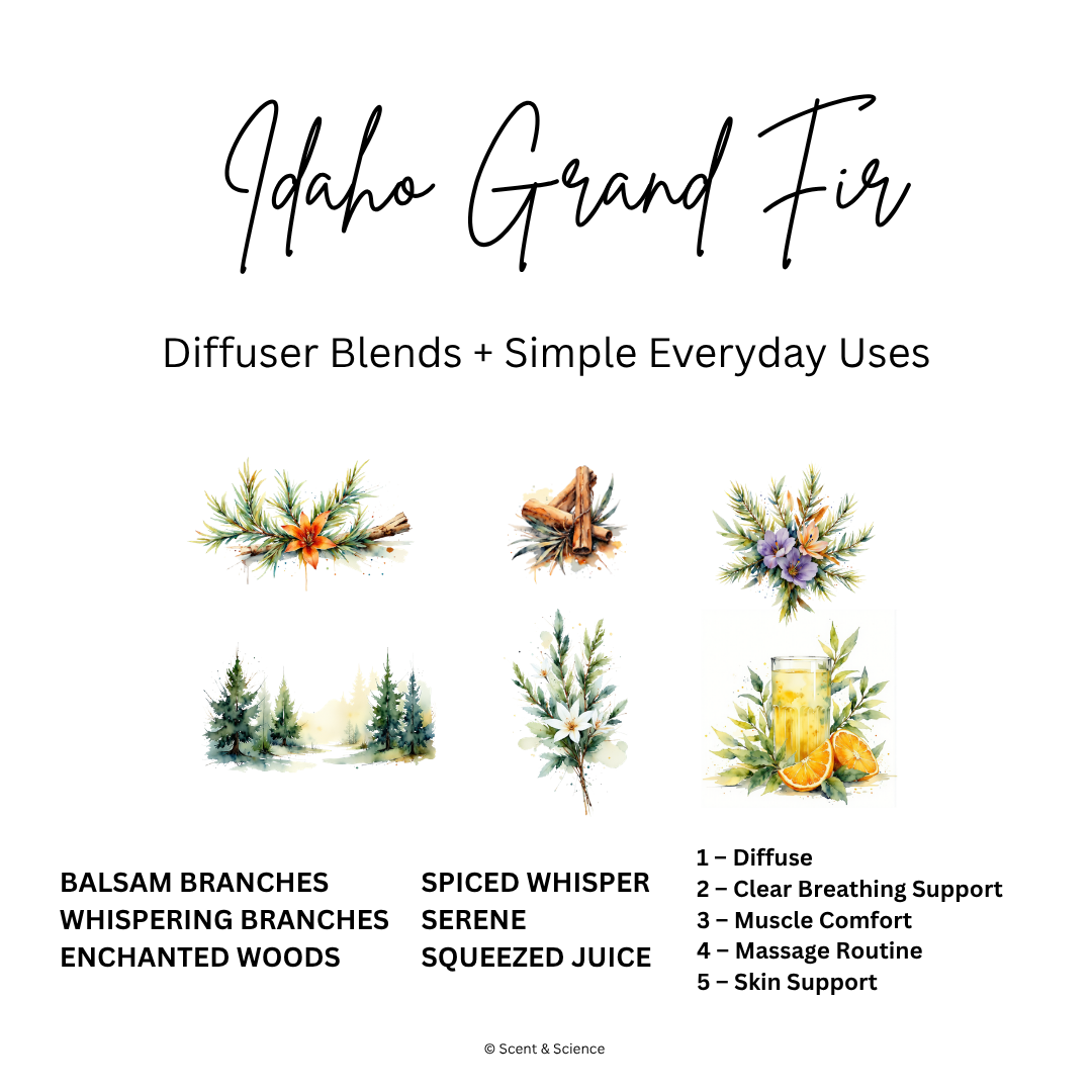Essential Scent Diffuser Postcard Featuring Idaho Grand Fir