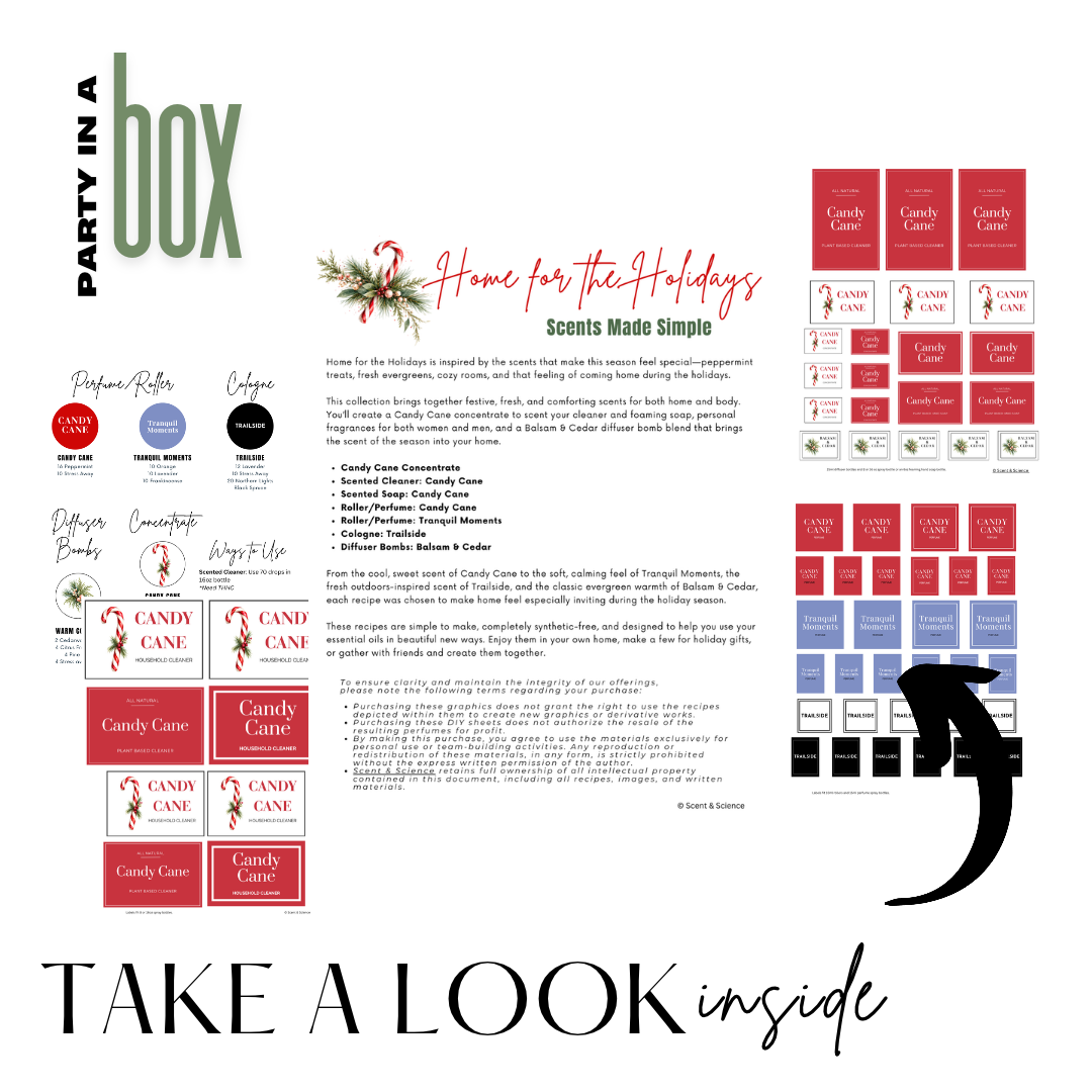 Home for the Holidays - Party in a Box