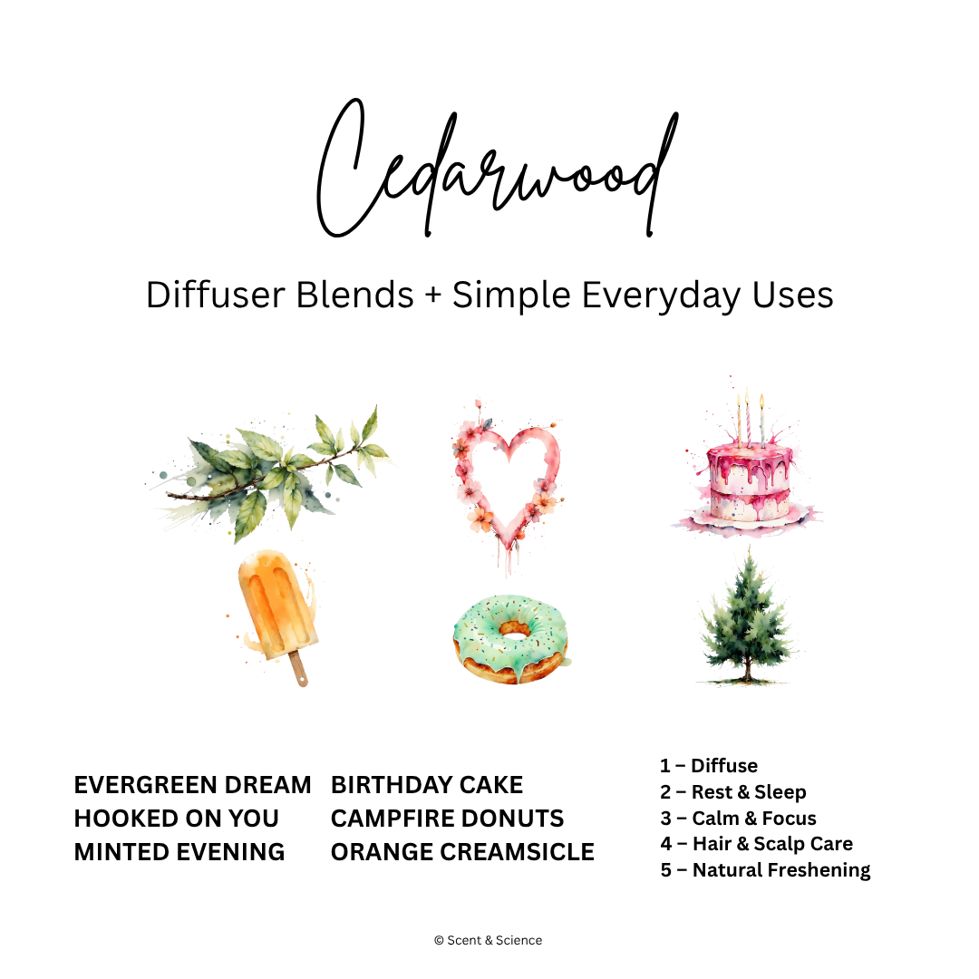 Essential Scent Diffuser Postcard Featuring Cedarwood