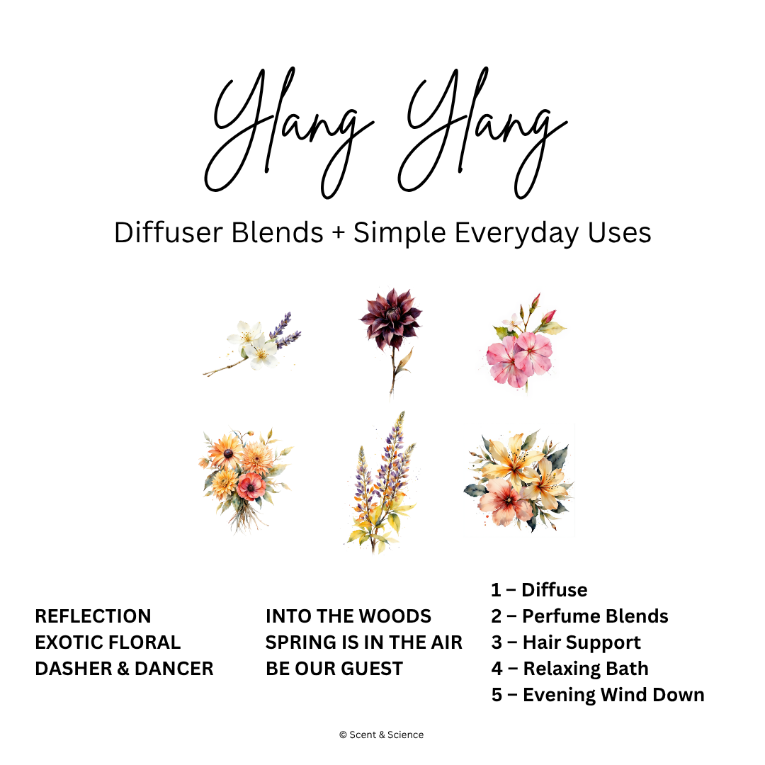 Diffuser Recipes Ylang Ylang.png