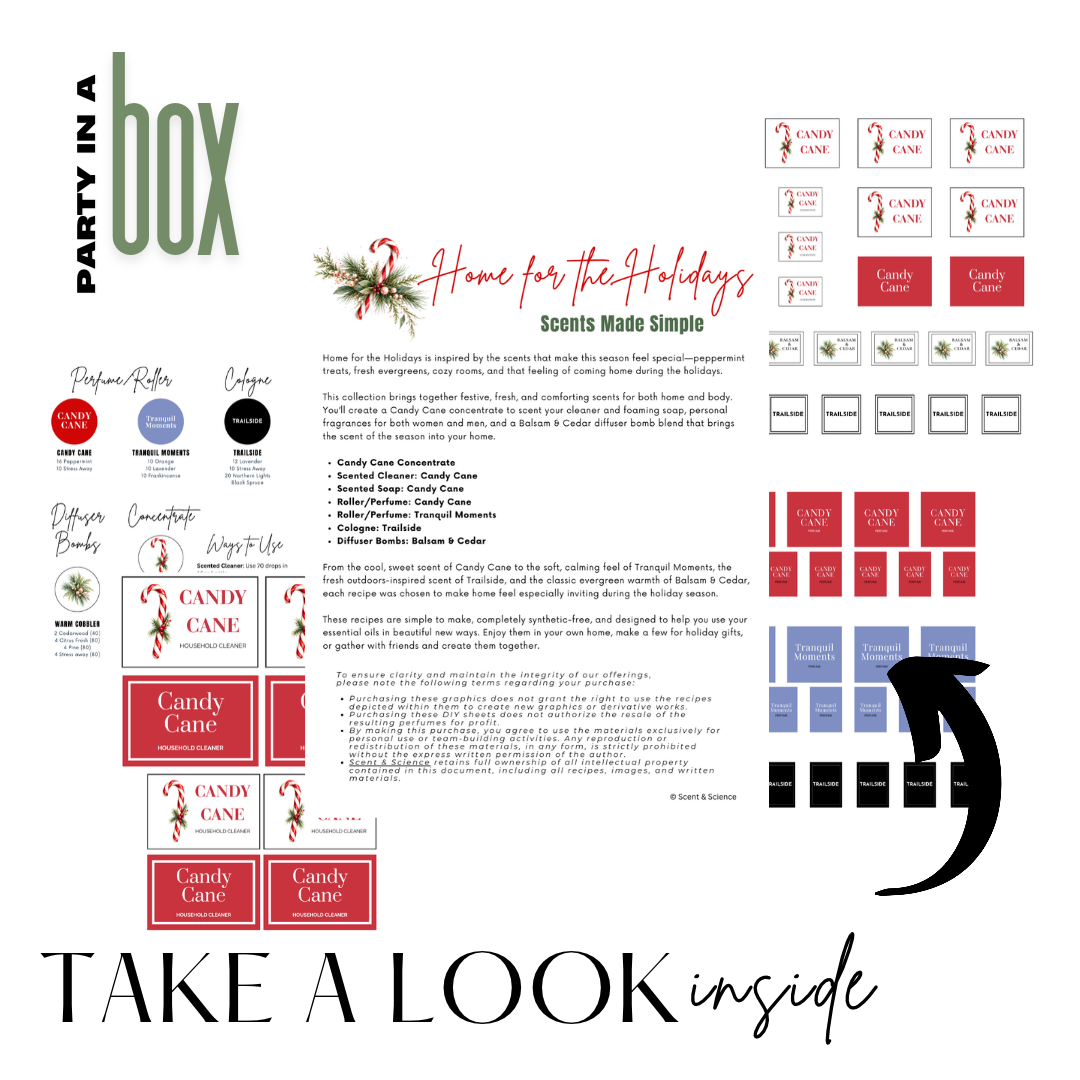Home for the Holidays - Party in a Box