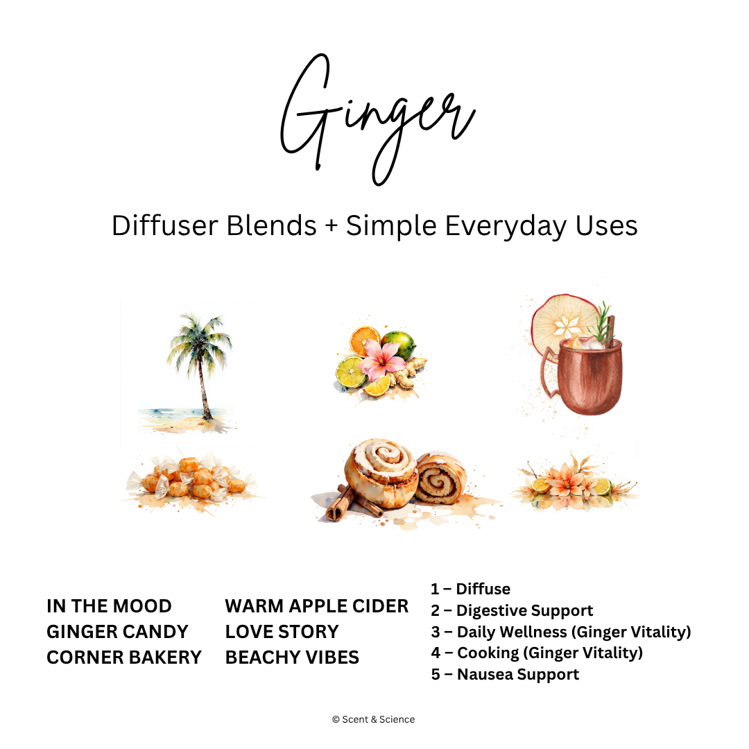 Essential Scent Diffuser Postcard Featuring Ginger