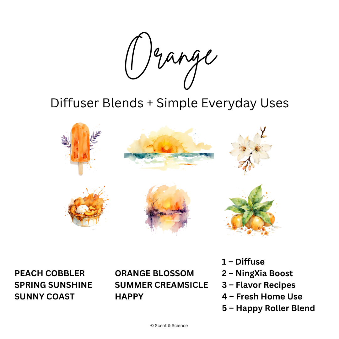 Diffuser Recipes orange.png