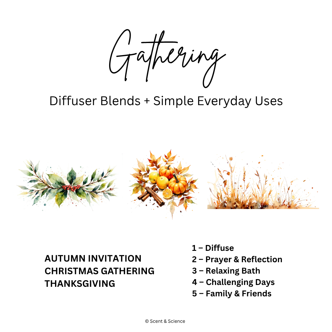 Essential Scent Diffuser Postcard Featuring Gathering