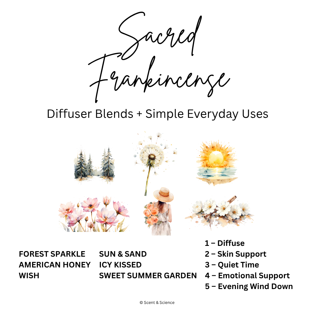 Essential Scent Diffuser Postcard Featuring Sacred Frankincense
