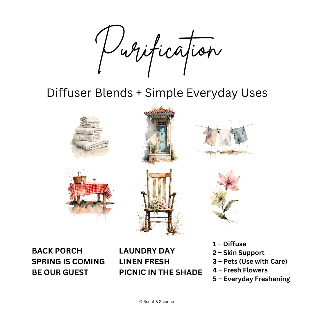 Essential Scent Diffuser Recipes Featuring Purification
