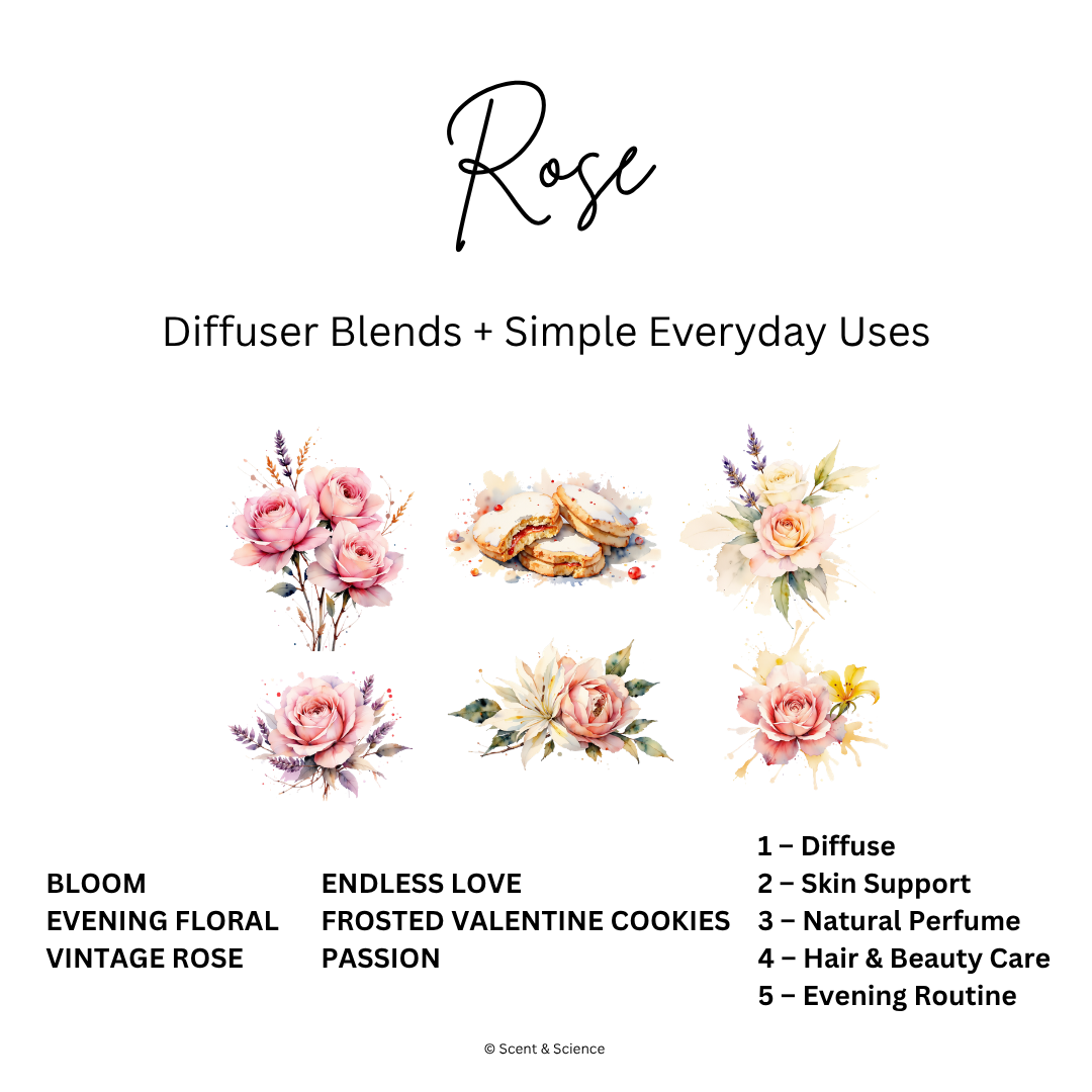 Essential Scent Diffuser Postcard Featuring Rose
