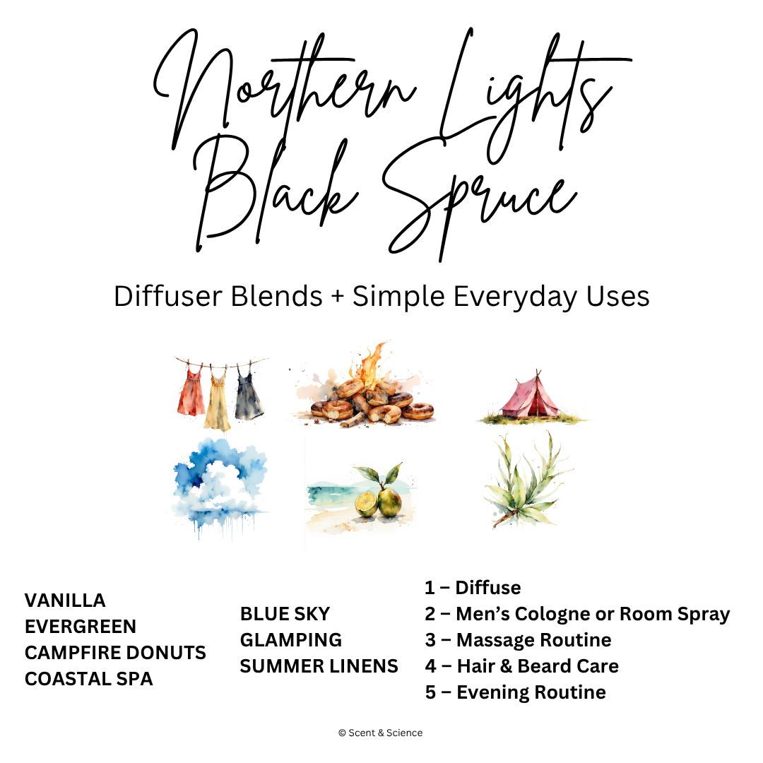 Essential Scent Diffuser Postcard Featuring Northern Lights Black Spruce