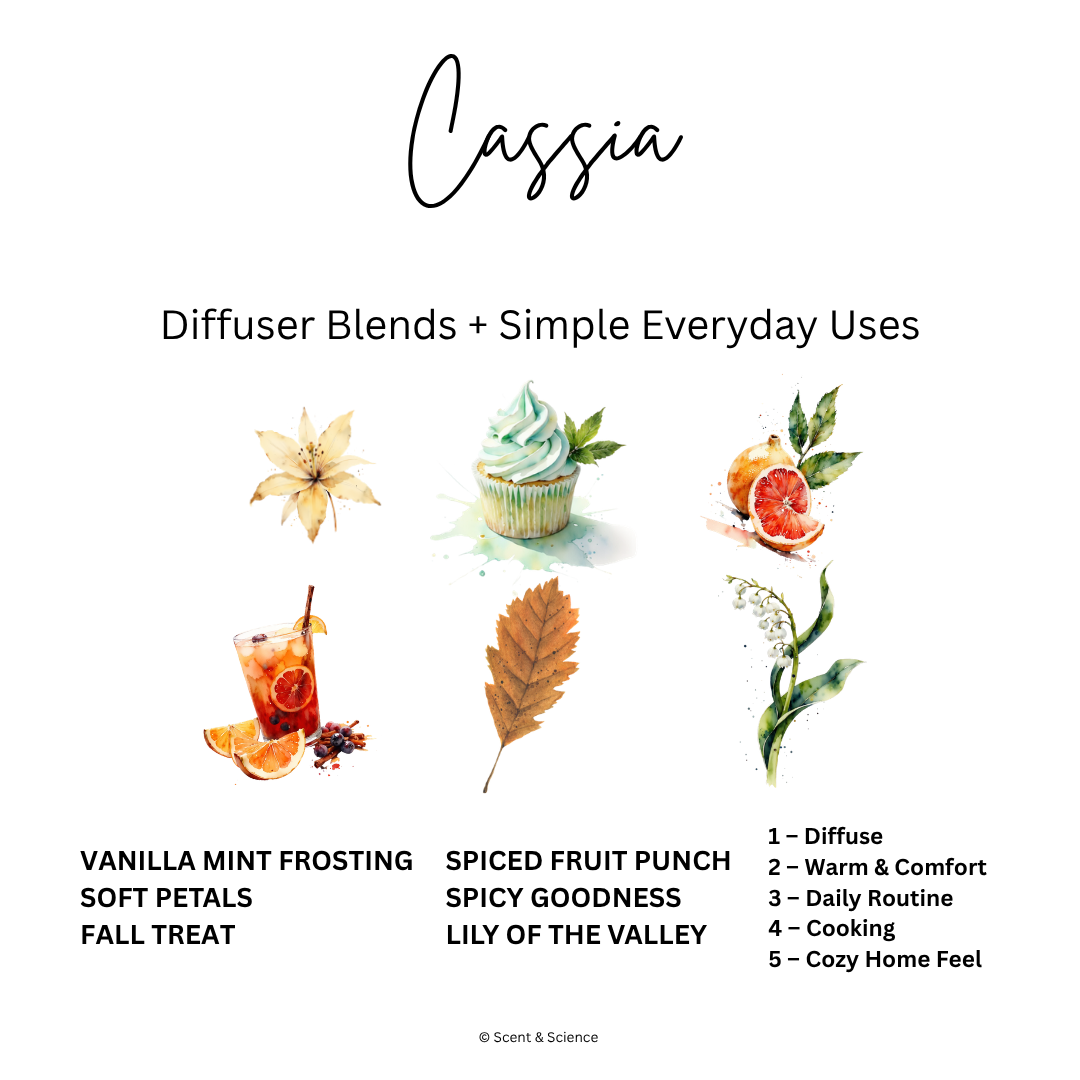 Essential Scent Diffuser Postcard Featuring Cassia