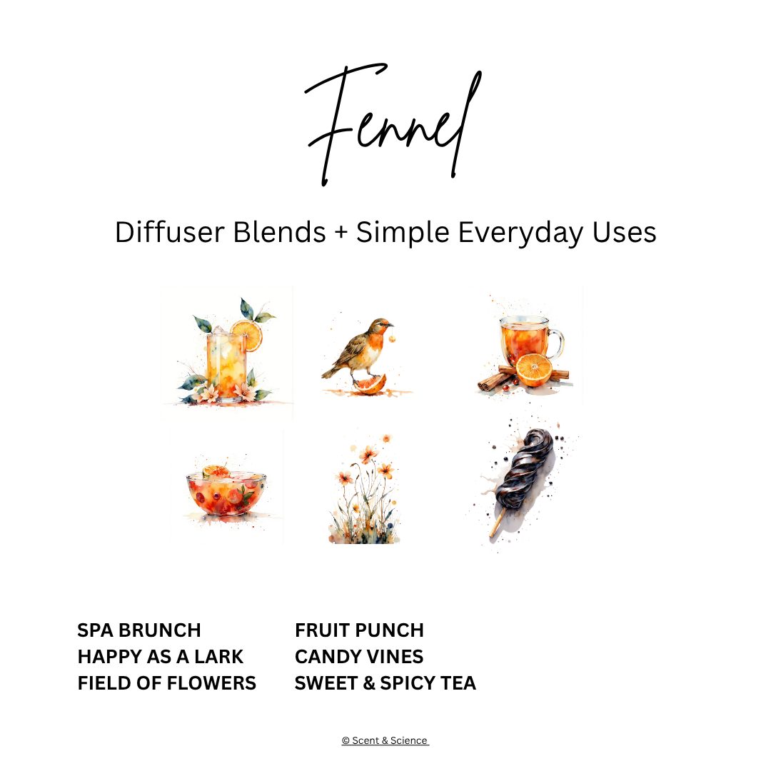 Essential Scent Diffuser Postcard Featuring Fennel