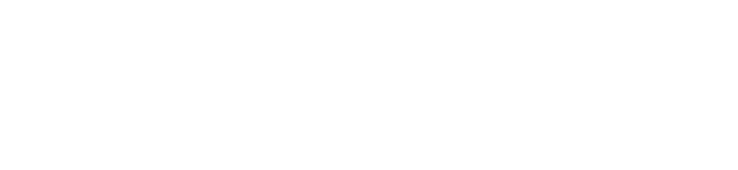 The word "skullflower" written in stylized, white text on a black background.
