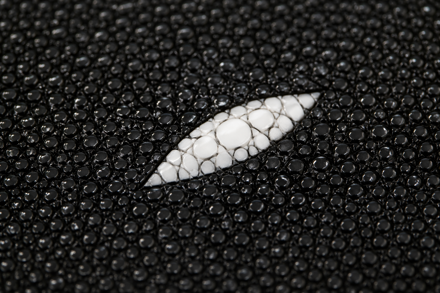 stingray-leather.png