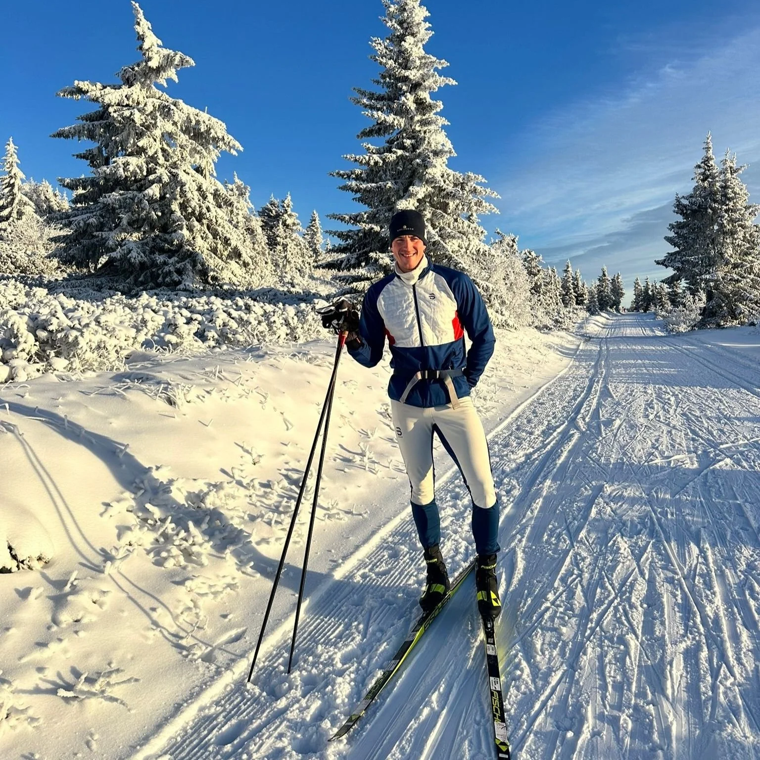 A skier in a snowy forest