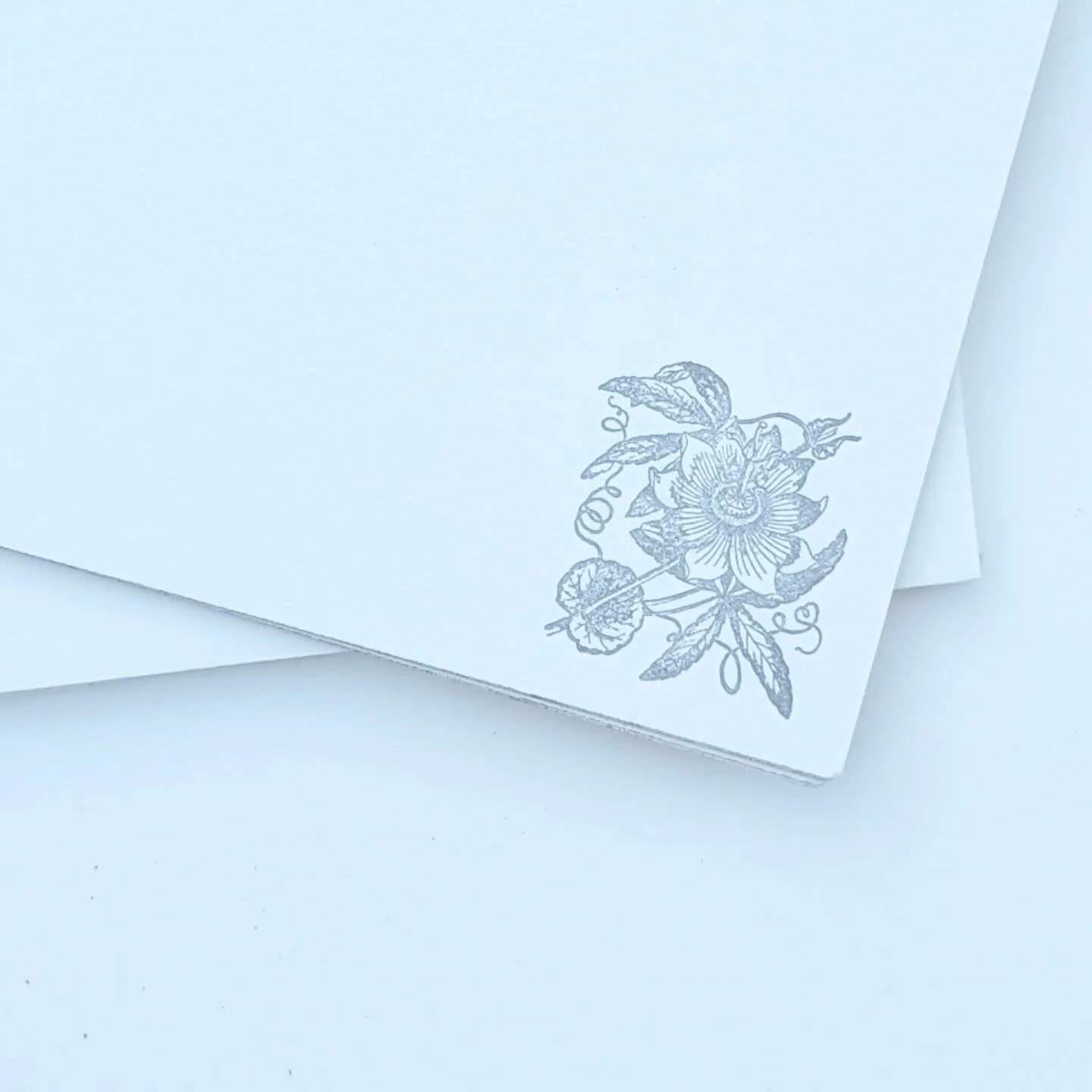 Maypop and luna moth note cards, fresh off the press and ready for you, now a 12 pack instead of a 10 pack! Might help get through mid-winter and general state-of-the-world doldrums because people gonna write you back after you send them letters writ