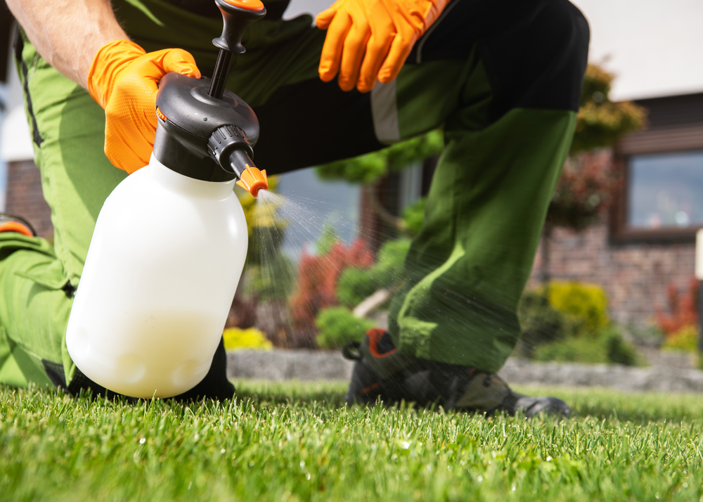 Gardener spraying lawn with a white pump sprayer, wearing orange gloves and green pants
