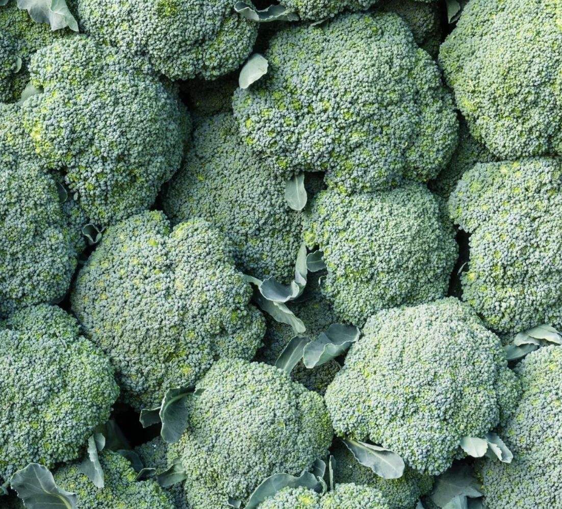 green sprouting broccoli
