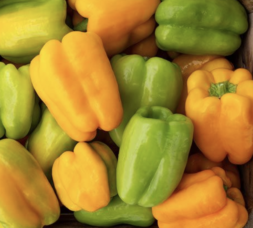'Flavorburst Bell' Pepper