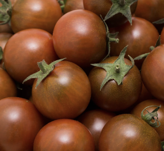 tomato 'black cherry'