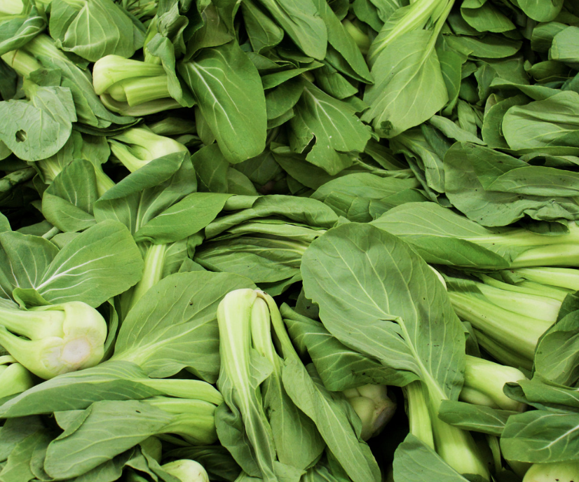 Bok Choy