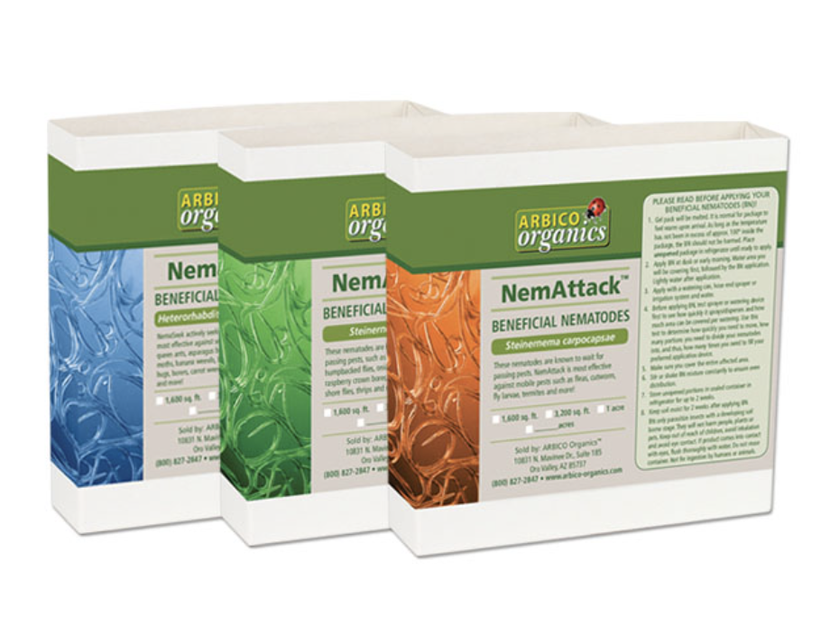 beneficial nematodes