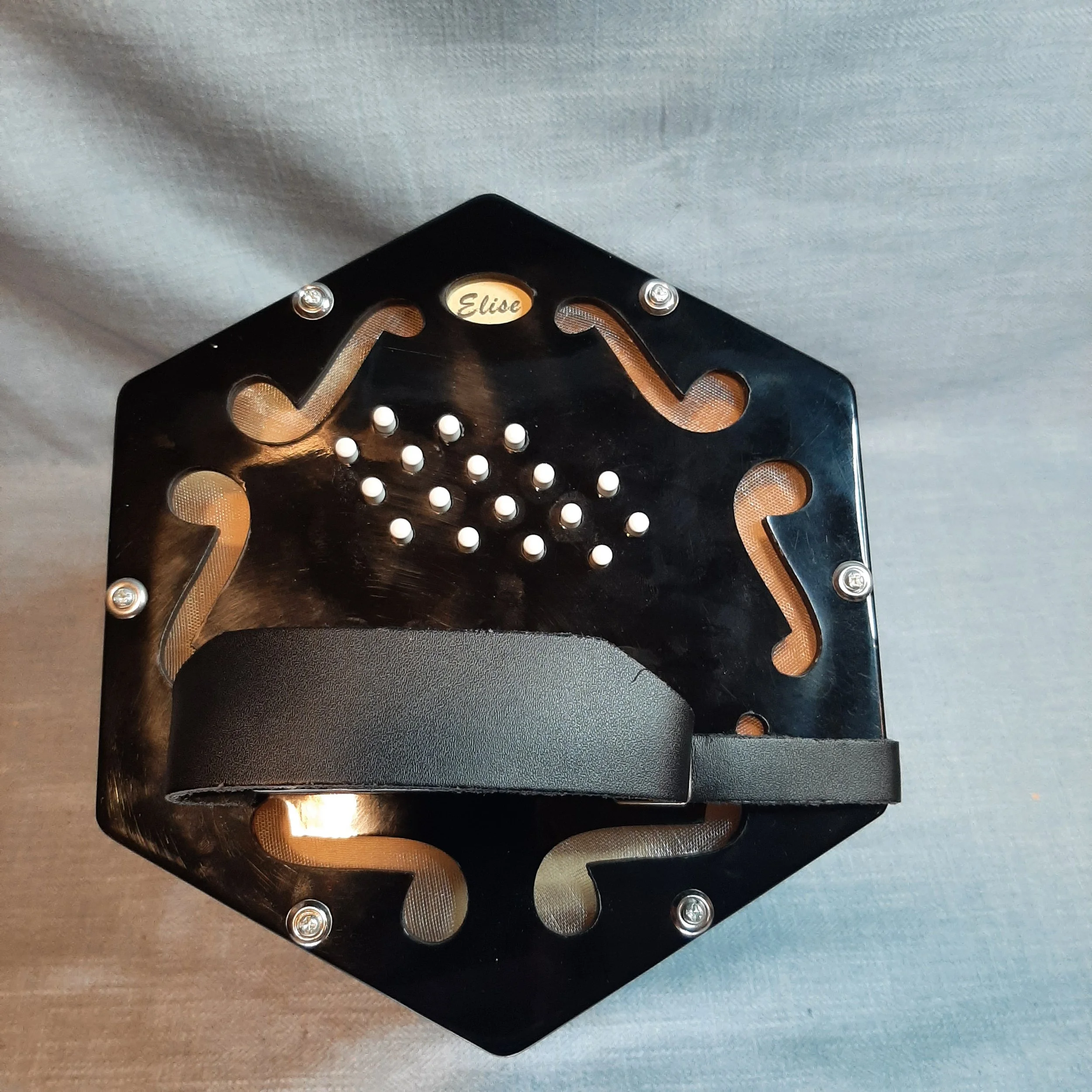 0020 Concertina Connection Elise