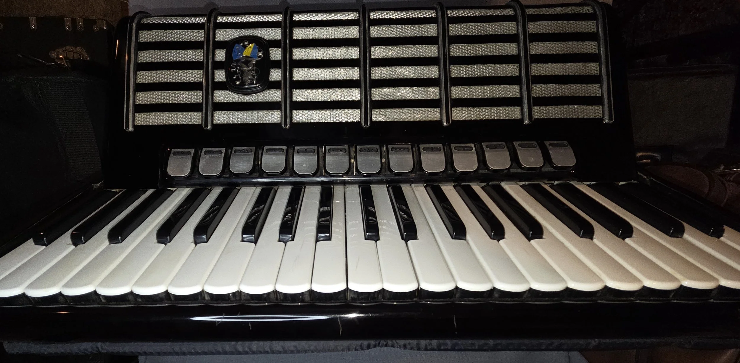 0033 Weltmeister Cantus V Deluxe defect 2.jpg