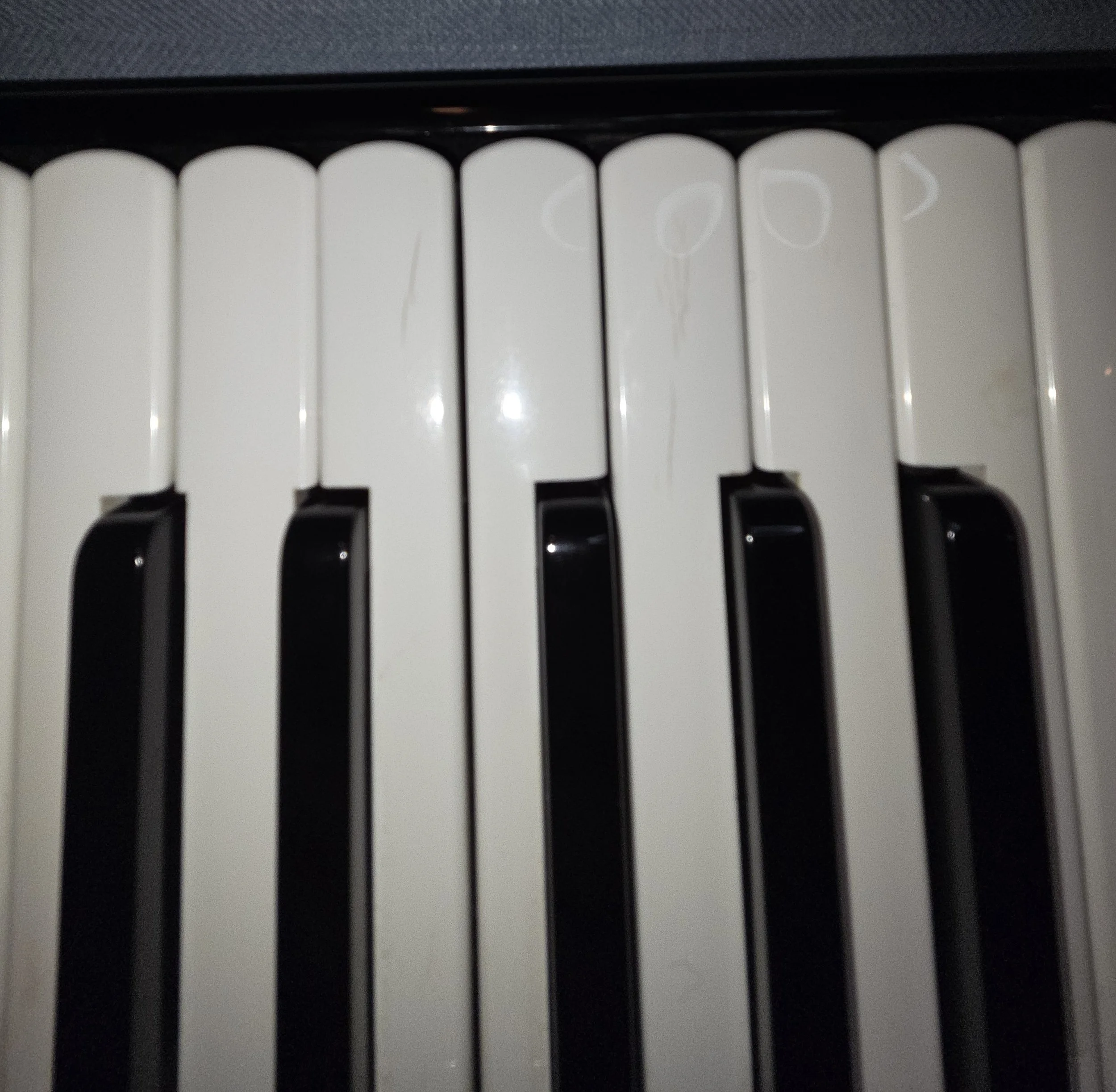 0033 Weltmeister Cantus V Deluxe defect 1.jpg
