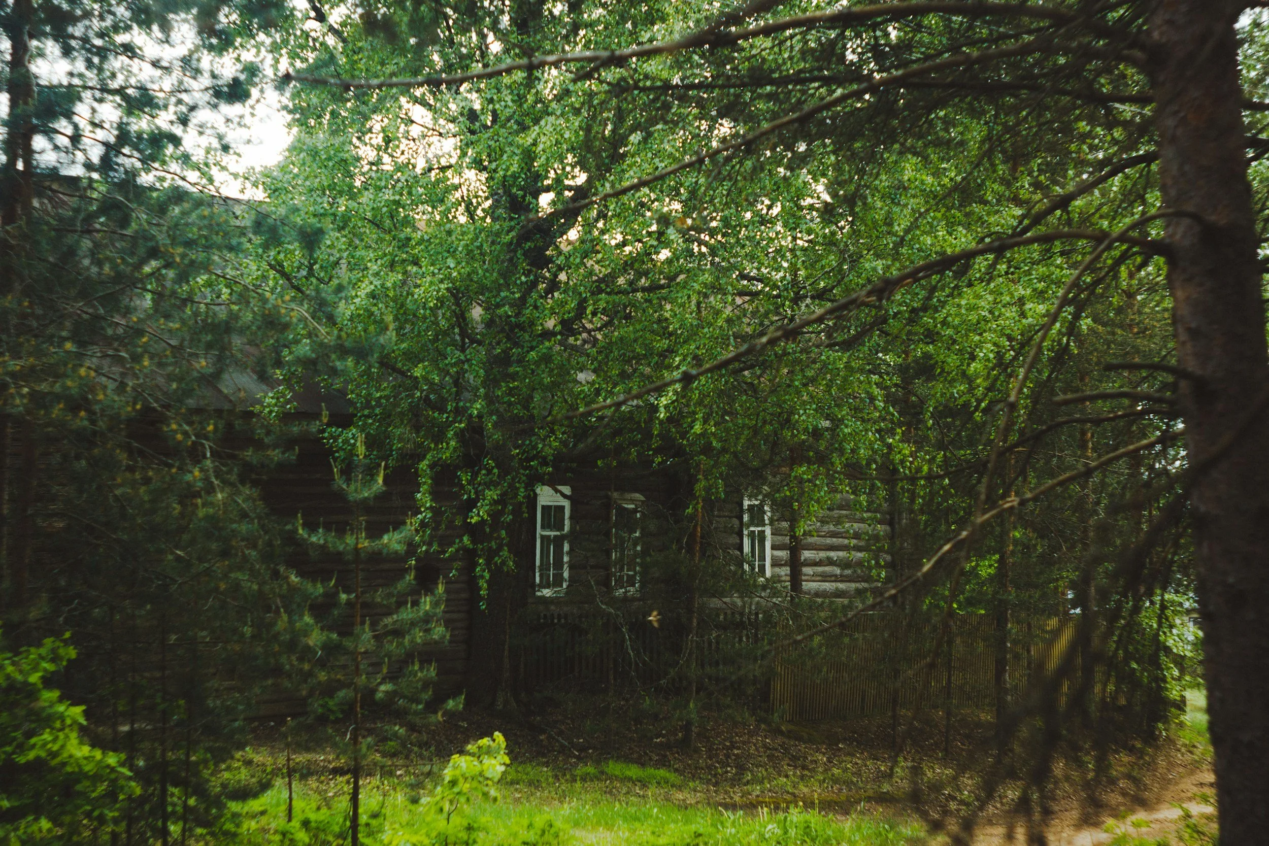When the House Gets Quiet Again — The Emotional Reality of the Empty Nest