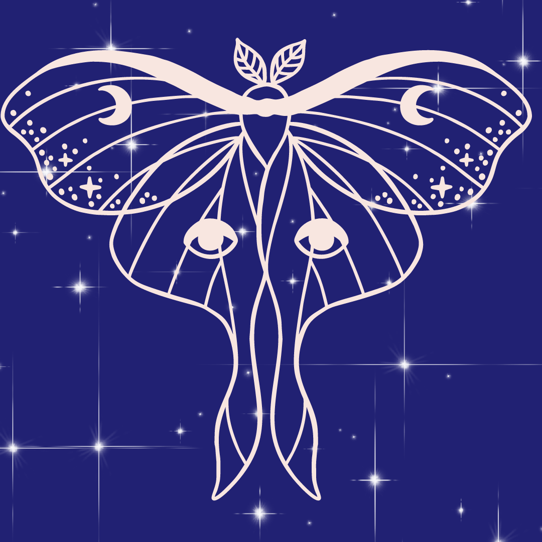 Outline drawing of a butterfly with celestial and starry details, set against a dark blue background.