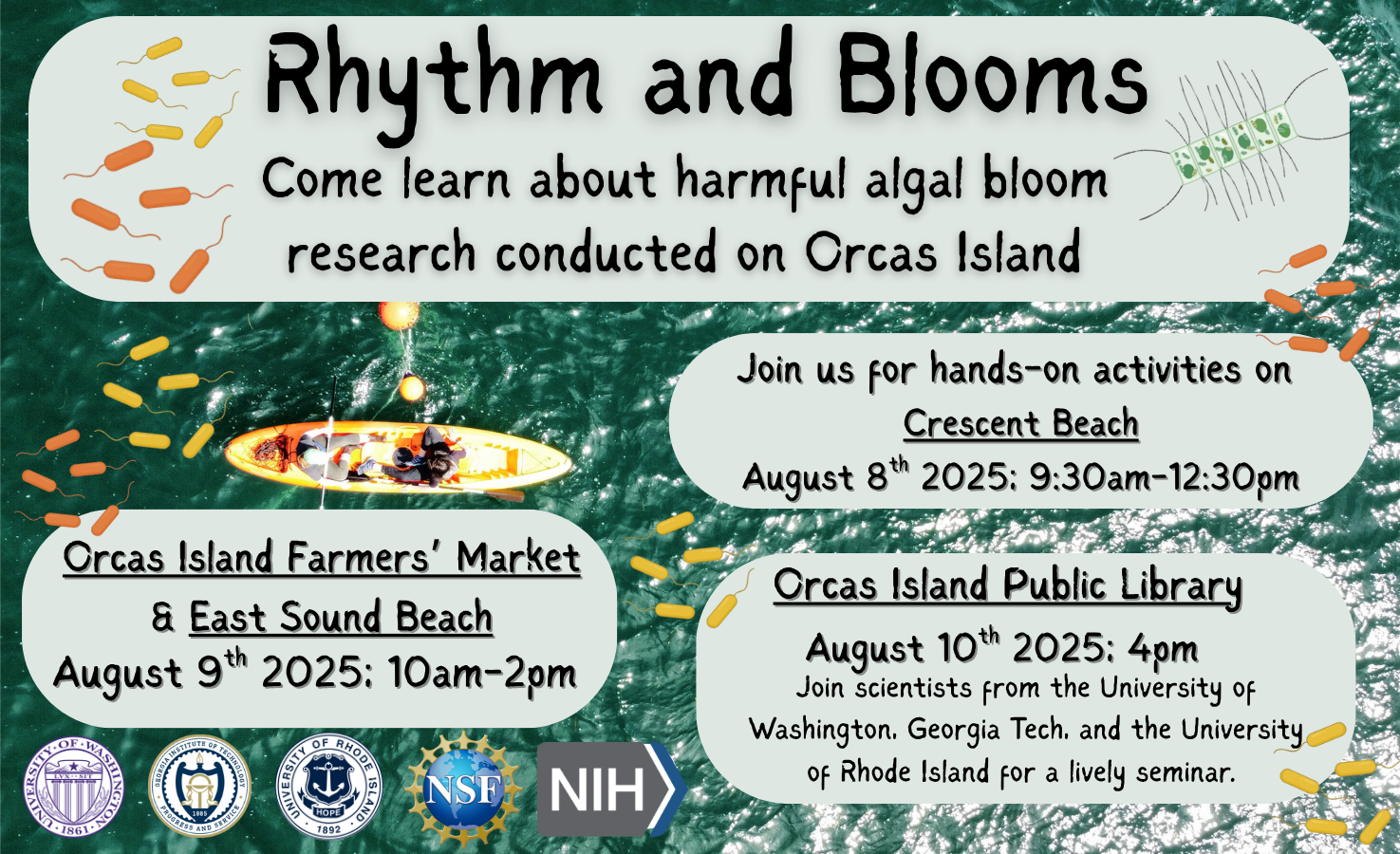 Rhythm & Algal Blooms