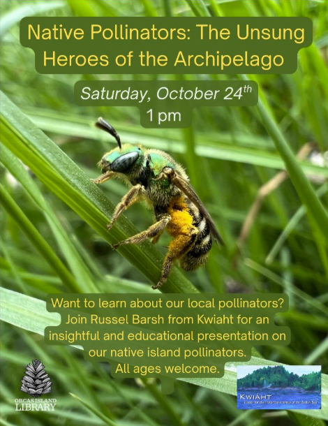 Come to the library October 24 at 1pm to learn about pollinators in the San Juan Islands