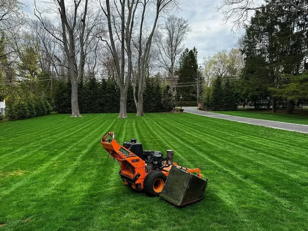 Lawn Maintenance Services near Union County New Jersey by Apex Landscape and Design