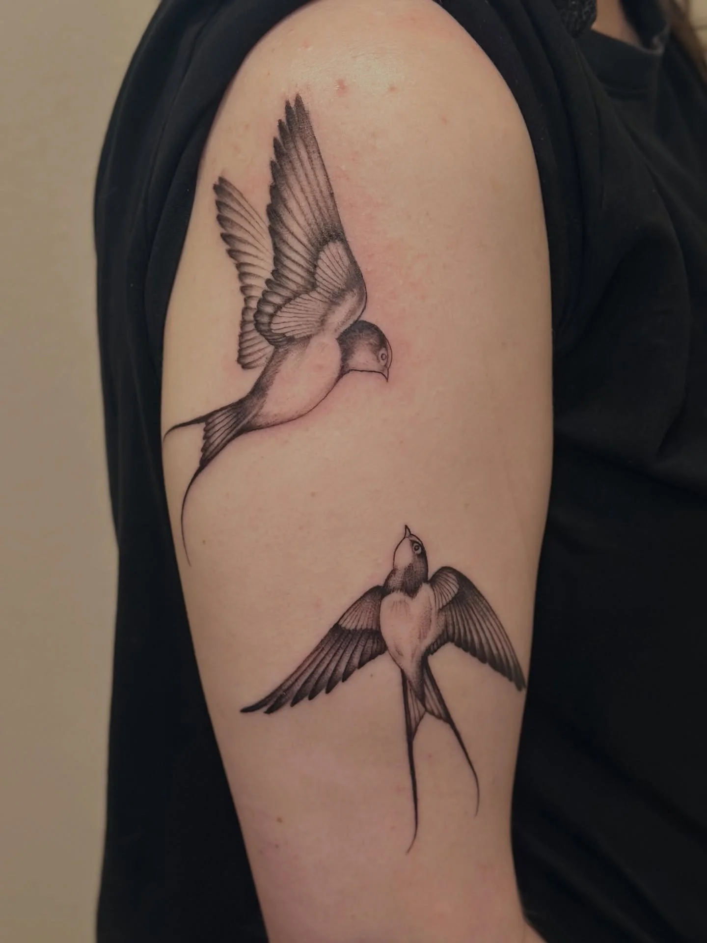 Sparrows are all about freedom, loyalty, and simple joys. I always love tattooing birds (or any creature, really!)

Books are open ✨