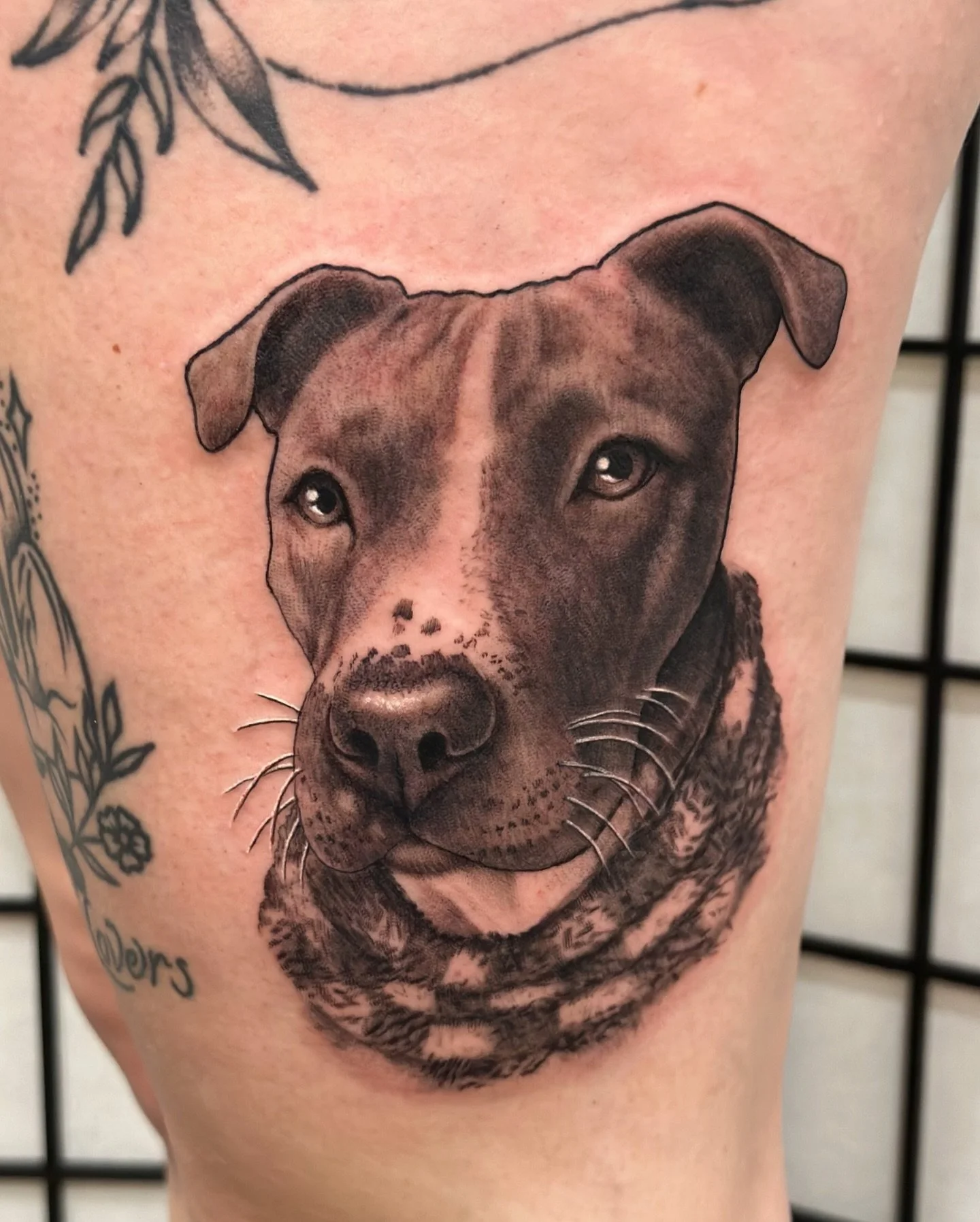 Had the honor of tattooing a portrait of Maisen&rsquo;s sweet dog, Bea. I&rsquo;m obsessed with doing pet portraits and would love to take on more. Huge thanks to Maisen for trusting me with this one 💜
@maisentattoo @maisenwauge ✨