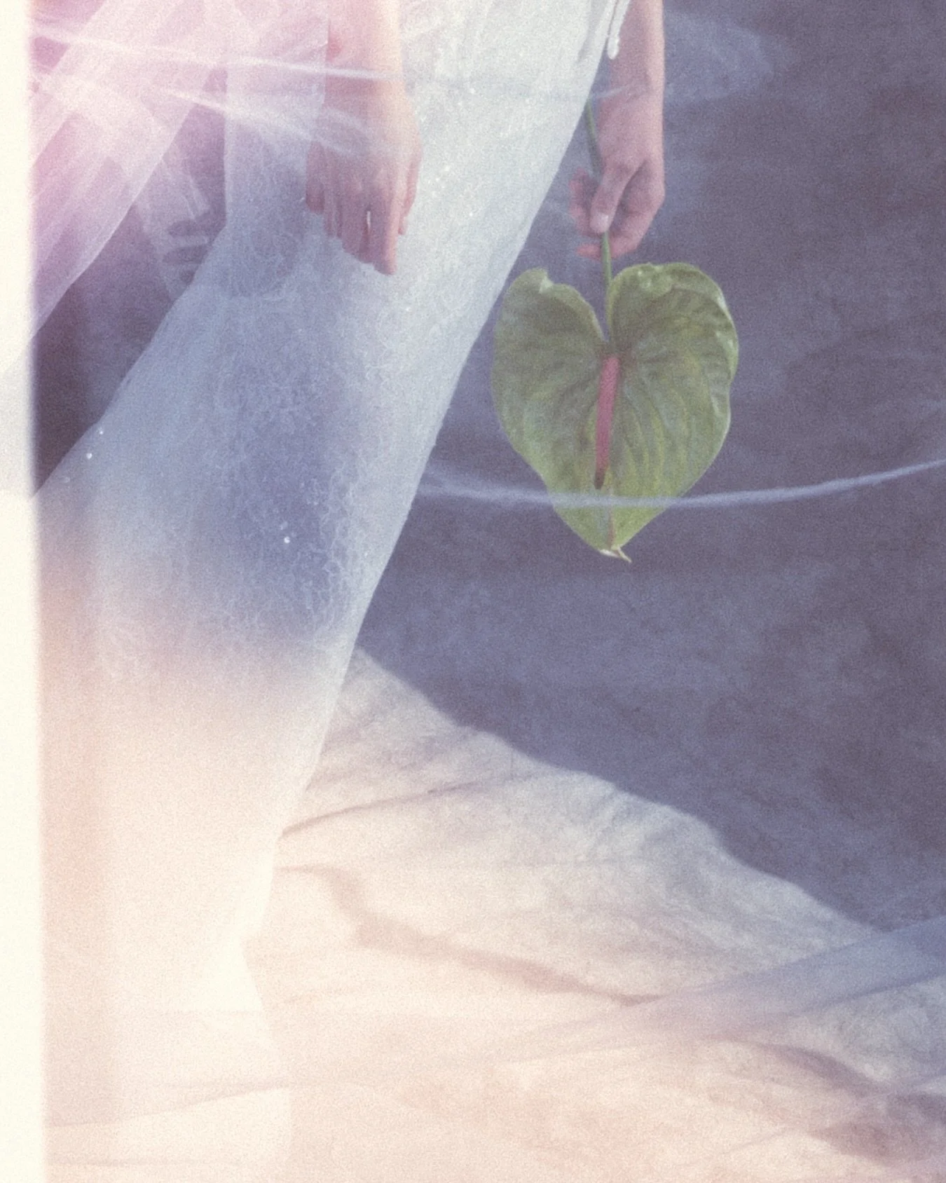 Details 

#hochzeitsfotografleipzig #hochzeitleipzig #hochzeitberlin #hochzeitm&uuml;nchen