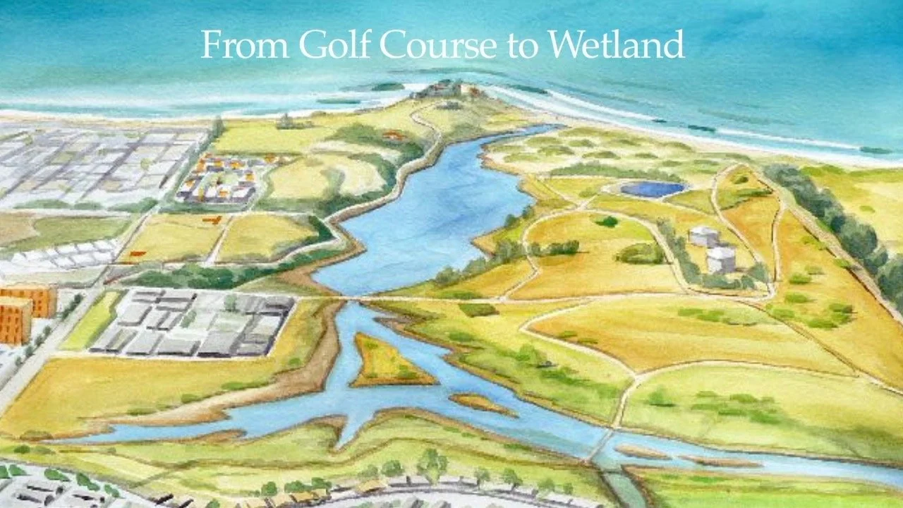 From Golfcourse to Wetlands