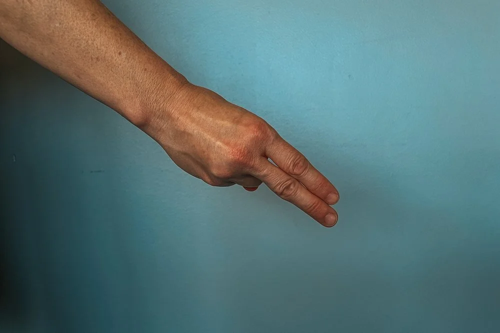 Bridge hand signal