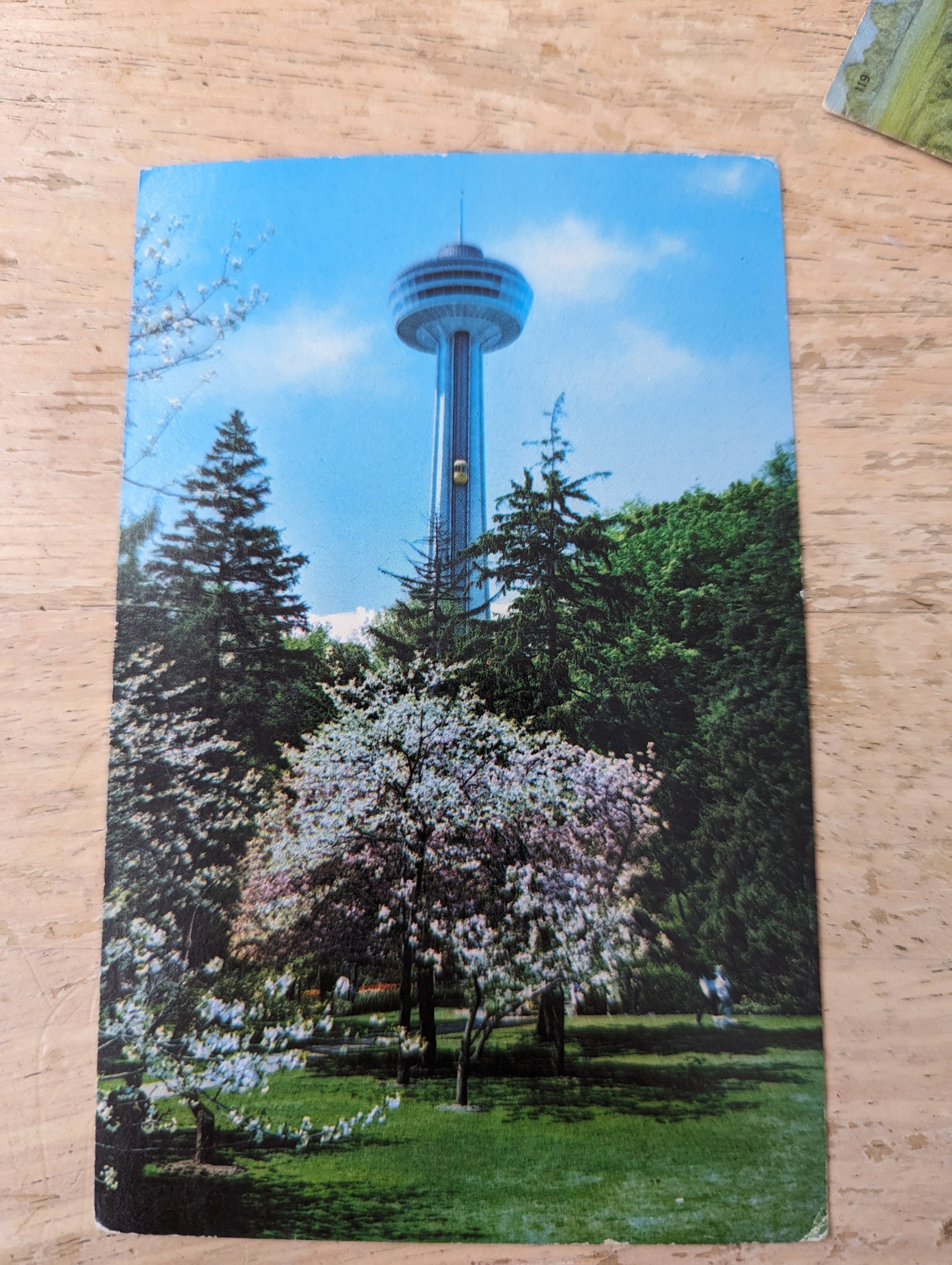 PXL_20231120_175240394.jpg